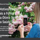 10 Motivos Pelos Quais a Fotografia é Uma Ótima Terapia para Saúde Mental