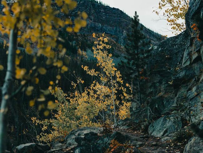 Foto Tirada com a Canon EOS R5