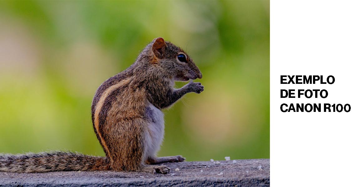 exemplo-de-foto-canon-r100