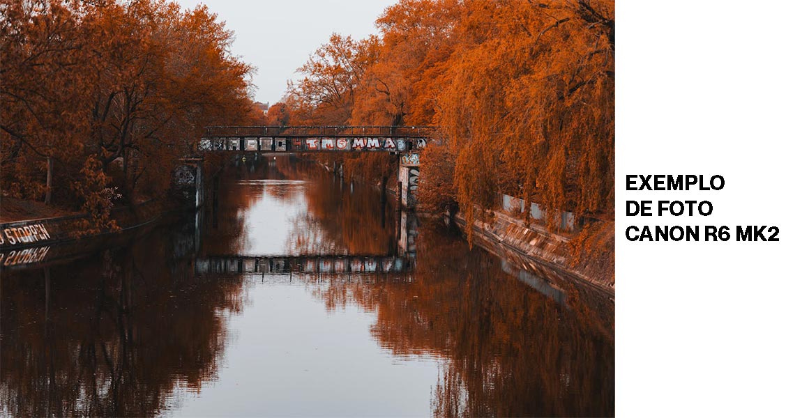 exemplo-de-foto-canon-r6-mk2