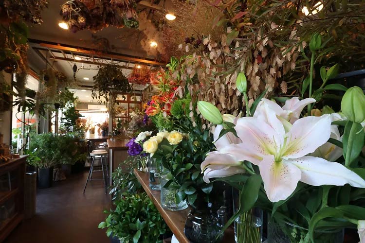 Exemplo de Foto Canon PowerShot v1 (3) Exemplo de Foto da Canon PowerShot v1